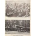 The Flying Tigers: The Story of the American Volunteer Group, by Russell Whelan