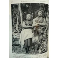 Hunting the Chaulmoogra Tree, an Original Article from NGS, by Joseph F. Rock