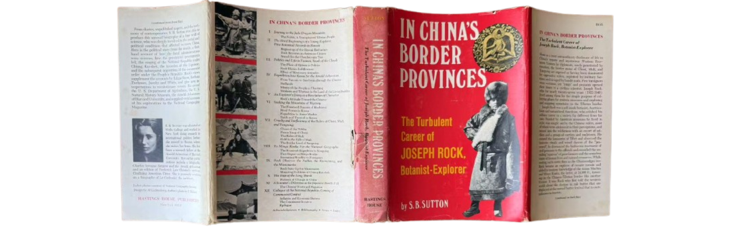 Biography of Rock