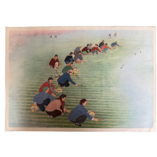 Spring Hoeing, Leader of the Cotton Cultivation Team under the Party Branch of Xihancun Brigade, Guangming Commune,  Li Fenglan (Female)