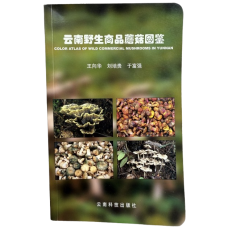 Color Atlas of Wild Commercial Mushrooms in Yunnan, Edited by Wang Xianghua, Liu Peigui, Yu Fuqiang