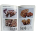 Color Atlas of Wild Commercial Mushrooms in Yunnan, Edited by Wang Xianghua, Liu Peigui, Yu Fuqiang