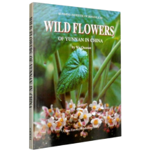 Wild Flowers of Yunnan in China, by Wu Quanan