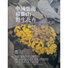 The Wild Flowers in Hengduan Mountains in Yunnan China, by Fang Zhendong