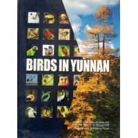 Birds in Yunnan, by Ji Weizhi
