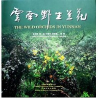 The Wild Orchids in Yunnan, by Xu Zhihui, Jiang Hong, Ye Deping, Liu Ende