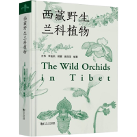 The Wild Orchids in Tibet, by Wang Wei, Meng Kai, Xin Zhen, Pang Shenshen